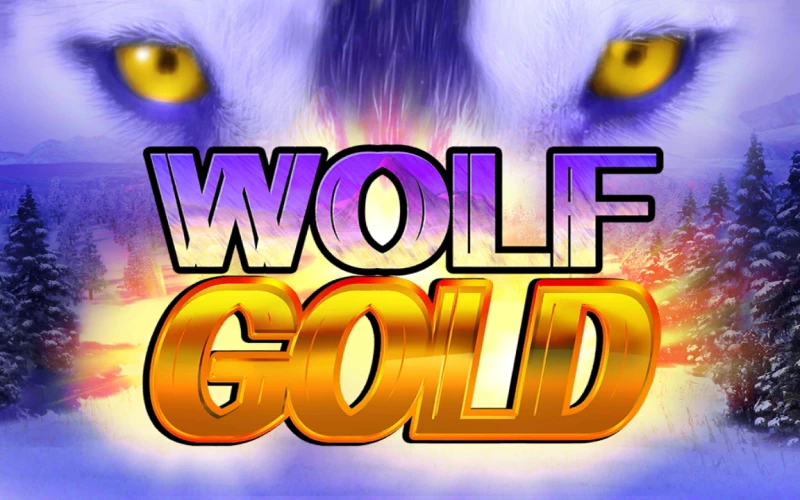 Hunt for big prizes under the moonlight in the Wolf Gold pokie at Royal Reels casino.